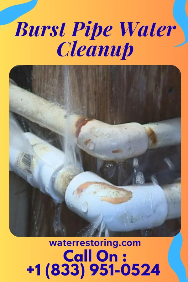 Burst Pipe Water Cleanup in Wampsville, NY