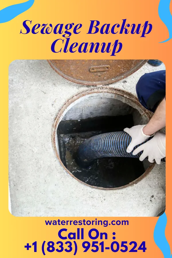 Sewage Backup Cleanup in Wampsville, NY