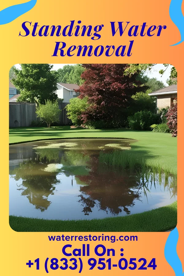 Standing Water Removal in Wampsville, NY